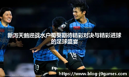 新泻天鹅迎战水户蜀葵期待精彩对决与精彩进球的足球盛宴